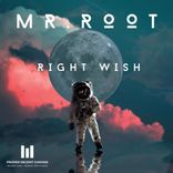 Artwork for "Right Wish"