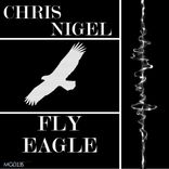 Artwork for "Fly Eagle"