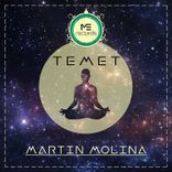 Artwork für "Temet"