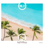 Artwork for "Sol Y Playa, Vol. 22"