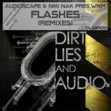 Artwork voor "Flashes"