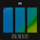 Artwork voor "Funk You Want"