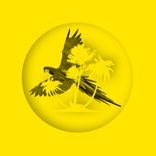 Artwork for "The Jump"