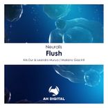 Artwork for "Flush"