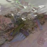 Portada para "Interstellaria 01"