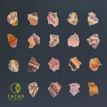 Artwork für "Otra Flor"