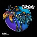 Portada para "Big Bass"