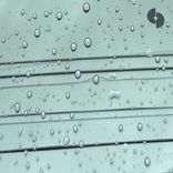 Portada para "Armpitt"