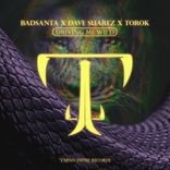 Portada para "Driving Me Wild"