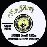 Artwork für "Never Wake Me Up"