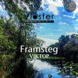Artwork für "Framsteg"