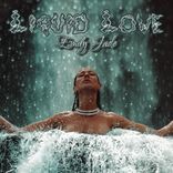 Artwork for "Liquid Love"