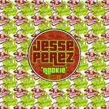 Artwork for "Nookie (Jesse Perez Remix)"