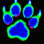 Artwork for "White Summer (Frømme Remix)"