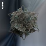 Artwork voor "From Nowhere"