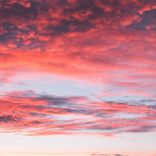 Artwork for "Crazy For Your Amusement"