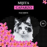 Artwork for "Mijita"