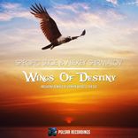 Artwork voor "Wings Of Destiny"