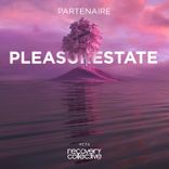 Artwork for "Pleasurestate"