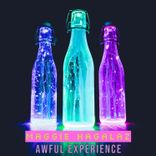 Artwork voor "Awful Experience"