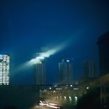 Artwork für "Shock Collar"