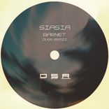 Artwork for "Barnet (Duss Remix)"