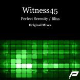 Artwork for "Perfect Serenity"