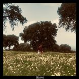 Artwork for "Wüstentanz"