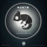 Artwork for "Chamaeleon / Nevis Tier"