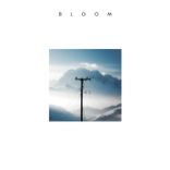 Artwork for "B L O O M"