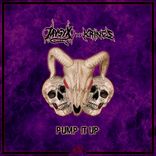 Portada para "Pump It Up"