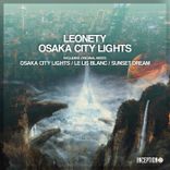 Artwork voor "Osaka City Lights"