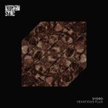 Artwork für "Vexatious Flux"