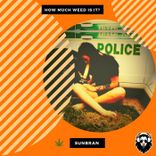 How Much Weed Is It?