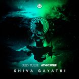 Artwork for "Shiva Gayatri"