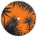 Artwork for "Amazones"