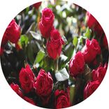 Artwork voor "Poem For S"