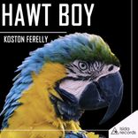 Artwork voor "Hawt Boy"