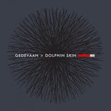Artwork for "Dolphin Skin"