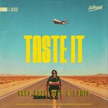 Portada para "Taste It"