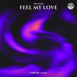 Artwork for "Feel My Love"