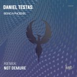 Artwork voor "Being a Phoenix"