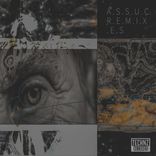 Artwork voor "Assuc Remixes"