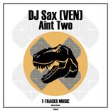 Artwork for "Aint Two"