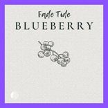 Artwork für "Blueberry"