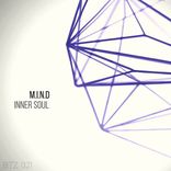 Artwork for "Inner Soul (Soire Remix)"