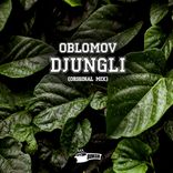 Artwork voor "Djungli"