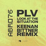 Artwork voor "Look At The Situation"