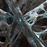 Portada para "The Hunt"