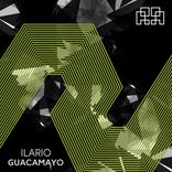 Artwork for "Guacamayo"